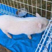 ヒメ日記 2025/05/10 11:19 投稿 杉浦 HERMINE-エルミネ-