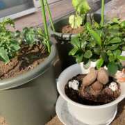 ヒメ日記 2025/05/13 17:00 投稿 杉浦 HERMINE-エルミネ-