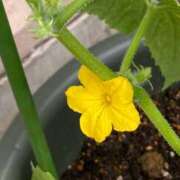 ヒメ日記 2025/05/18 10:12 投稿 杉浦 HERMINE-エルミネ-