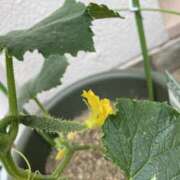 ヒメ日記 2025/05/23 19:51 投稿 杉浦 HERMINE-エルミネ-