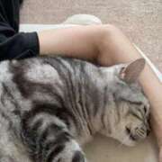 ヒメ日記 2025/06/04 19:59 投稿 杉浦 HERMINE-エルミネ-