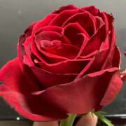 ヒメ日記 2025/06/12 23:43 投稿 杉浦 HERMINE-エルミネ-