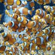 ヒメ日記 2025/06/23 21:06 投稿 杉浦 HERMINE-エルミネ-