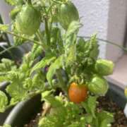 ヒメ日記 2025/07/01 13:52 投稿 杉浦 HERMINE-エルミネ-