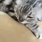 ヒメ日記 2025/07/03 20:03 投稿 杉浦 HERMINE-エルミネ-