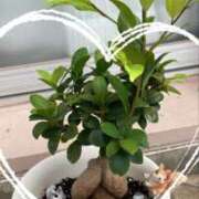 ヒメ日記 2025/07/06 09:58 投稿 杉浦 HERMINE-エルミネ-