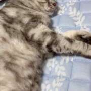 ヒメ日記 2025/07/08 20:22 投稿 杉浦 HERMINE-エルミネ-