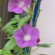 ヒメ日記 2025/07/20 09:23 投稿 杉浦 HERMINE-エルミネ-