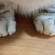 ヒメ日記 2025/07/23 20:34 投稿 杉浦 HERMINE-エルミネ-