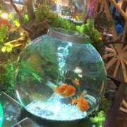 ヒメ日記 2025/08/13 20:05 投稿 杉浦 HERMINE-エルミネ-