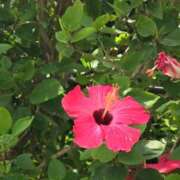 ヒメ日記 2025/08/27 08:58 投稿 杉浦 HERMINE-エルミネ-