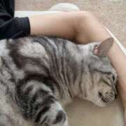 ヒメ日記 2025/08/28 20:49 投稿 杉浦 HERMINE-エルミネ-