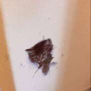 ヒメ日記 2025/08/30 09:34 投稿 杉浦 HERMINE-エルミネ-