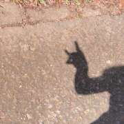 ヒメ日記 2025/09/06 10:27 投稿 杉浦 HERMINE-エルミネ-