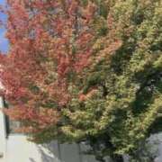 ヒメ日記 2025/09/10 08:59 投稿 杉浦 HERMINE-エルミネ-