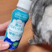 ヒメ日記 2025/10/12 03:18 投稿 杉浦 HERMINE-エルミネ-