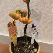 ヒメ日記 2025/10/14 20:39 投稿 杉浦 HERMINE-エルミネ-