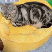 ヒメ日記 2025/10/15 19:03 投稿 杉浦 HERMINE-エルミネ-