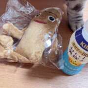 ヒメ日記 2025/10/26 04:29 投稿 杉浦 HERMINE-エルミネ-