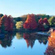 ヒメ日記 2025/11/30 08:38 投稿 杉浦 HERMINE-エルミネ-