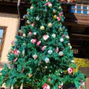 ヒメ日記 2025/12/01 08:36 投稿 杉浦 HERMINE-エルミネ-