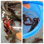 ヒメ日記 2025/12/24 19:23 投稿 杉浦 HERMINE-エルミネ-