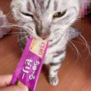 ヒメ日記 2025/12/29 19:23 投稿 杉浦 HERMINE-エルミネ-