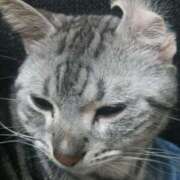 ヒメ日記 2026/01/20 09:22 投稿 杉浦 HERMINE-エルミネ-