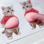 ヒメ日記 2026/02/19 20:32 投稿 杉浦 HERMINE-エルミネ-