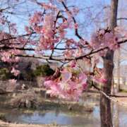 ヒメ日記 2026/02/23 19:25 投稿 杉浦 HERMINE-エルミネ-