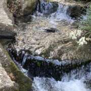 ヒメ日記 2026/02/24 09:04 投稿 杉浦 HERMINE-エルミネ-