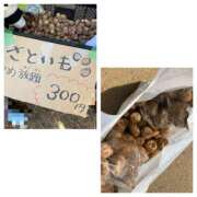 ヒメ日記 2026/03/15 17:41 投稿 杉浦 HERMINE-エルミネ-