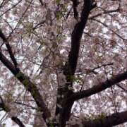 ヒメ日記 2026/04/05 19:24 投稿 杉浦 HERMINE-エルミネ-