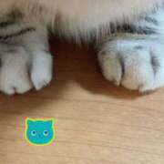 ヒメ日記 2026/04/11 22:11 投稿 杉浦 HERMINE-エルミネ-