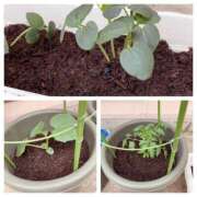 ヒメ日記 2026/04/22 19:17 投稿 杉浦 HERMINE-エルミネ-