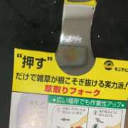 ヒメ日記 2026/04/29 20:06 投稿 杉浦 HERMINE-エルミネ-