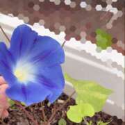 ヒメ日記 2026/07/04 09:11 投稿 杉浦 HERMINE-エルミネ-