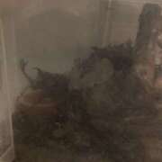 ヒメ日記 2026/07/14 20:15 投稿 杉浦 HERMINE-エルミネ-