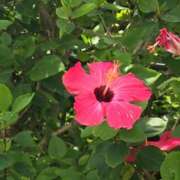 ヒメ日記 2026/08/10 10:24 投稿 杉浦 HERMINE-エルミネ-