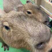 ヒメ日記 2026/08/12 21:40 投稿 杉浦 HERMINE-エルミネ-