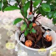 ヒメ日記 2026/09/11 17:35 投稿 杉浦 HERMINE-エルミネ-