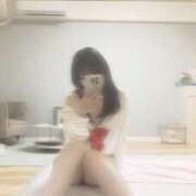 ヒメ日記 2026/04/15 09:54 投稿 ゆい Tokyo fairy land-東京フェアリーランド-