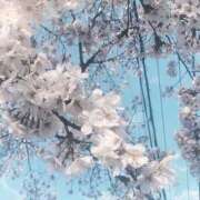 ヒメ日記 2025/04/13 07:45 投稿 ひまり ZERO