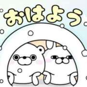 ヒメ日記 2025/02/08 16:21 投稿 あんず 奴隷コレクション