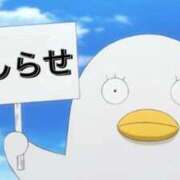 ヒメ日記 2025/02/09 17:43 投稿 あんず 奴隷コレクション