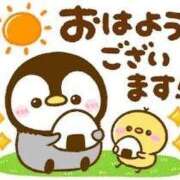 ヒメ日記 2025/03/03 17:43 投稿 あんず 奴隷コレクション