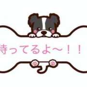 ヒメ日記 2025/06/04 16:48 投稿 あんず 奴隷コレクション