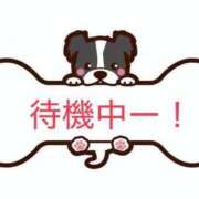 ヒメ日記 2025/11/16 17:40 投稿 あんず 奴隷コレクション