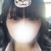 ヒメ日記 2025/11/20 19:52 投稿 あんず 奴隷コレクション