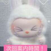 ヒメ日記 2025/12/21 11:03 投稿 あんず 奴隷コレクション